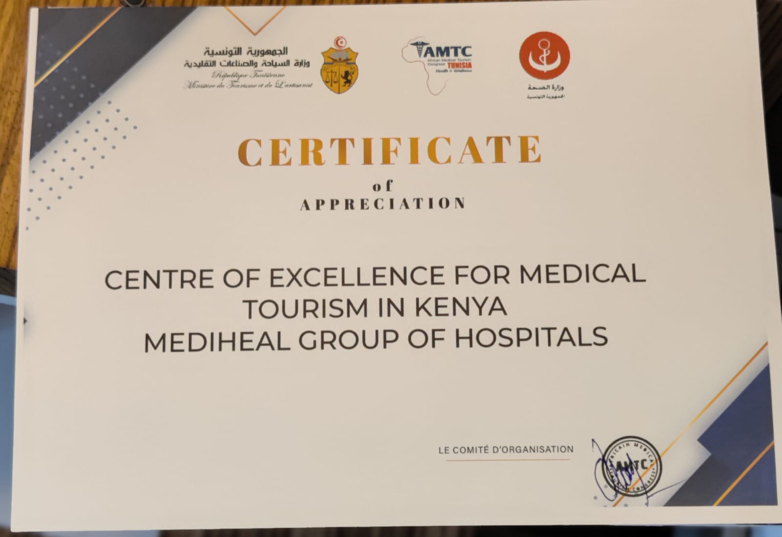 Recognition At The African Medical Tourism Congress Mediheal Group Of